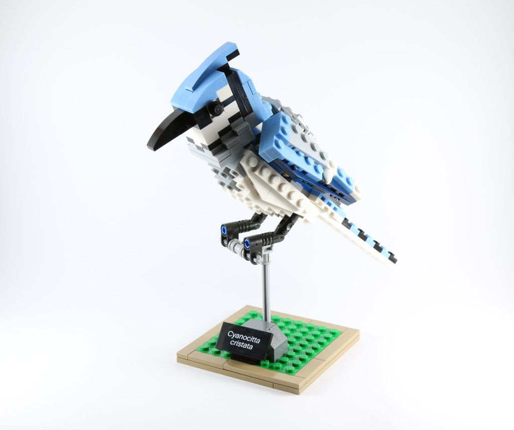LEGO 21301 Birds - Blue Jay