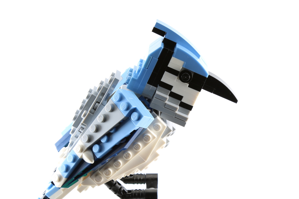 LEGO 21301 Birds - Blue Jay Side