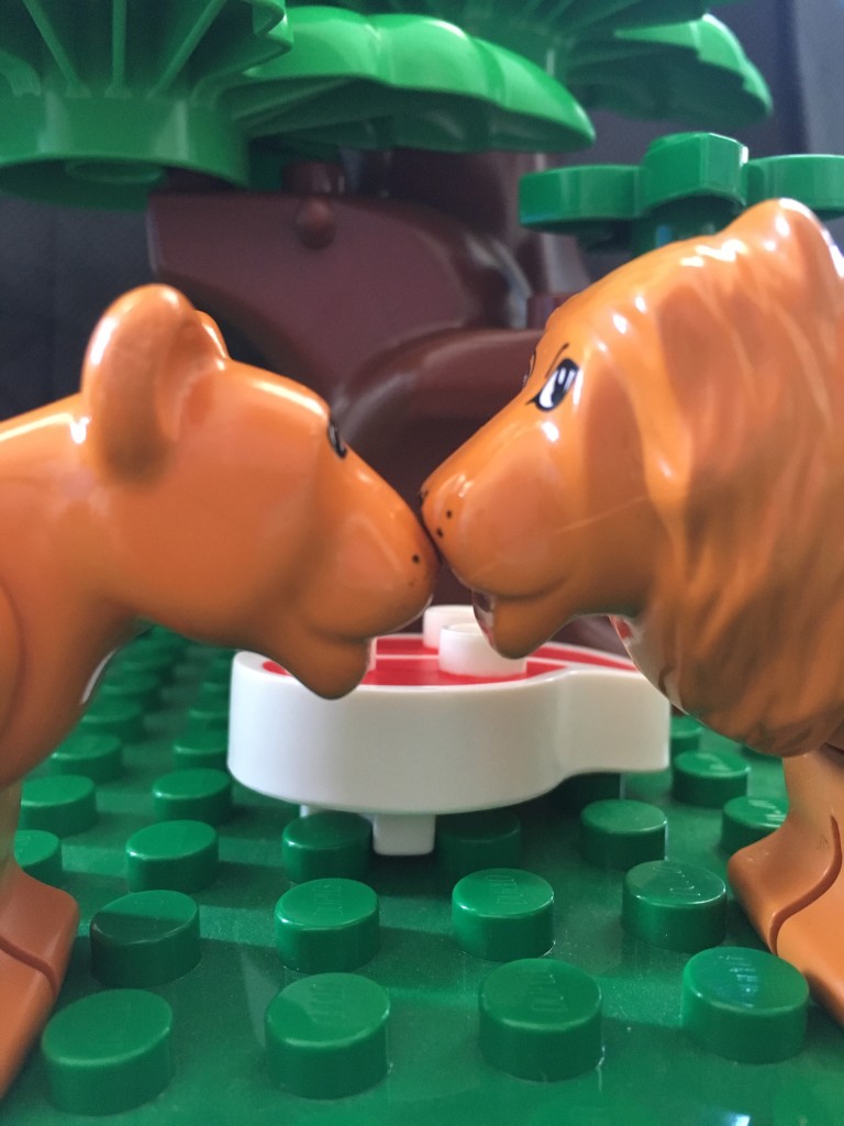 LEGO Valentines Day 2016 - Nicole Macdonald