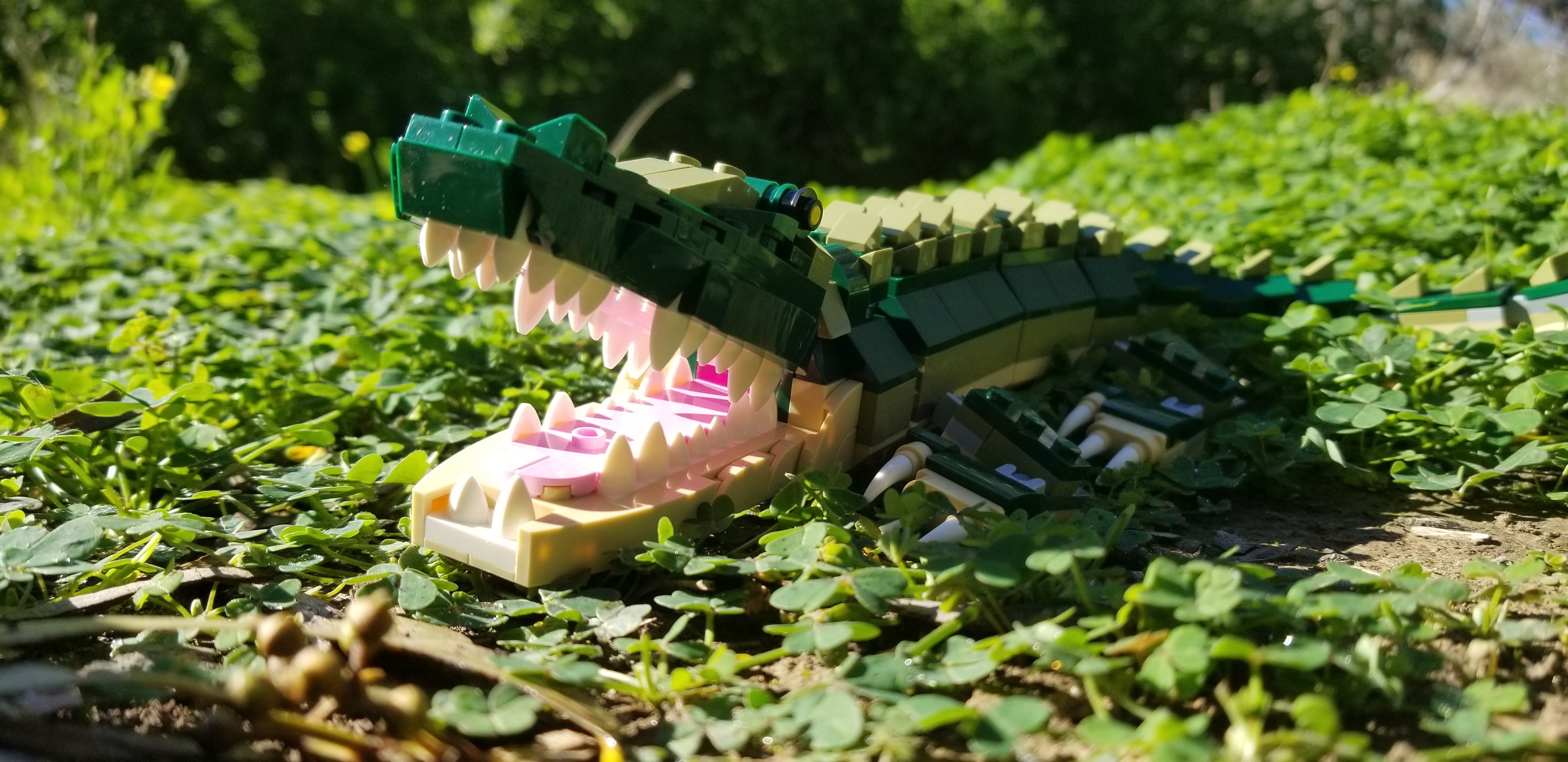 Forbavselse skarpt Konkurrence Review: LEGO 31121 Creator 3-in-1 Crocodile (Guest Review) - Jay's Brick  Blog