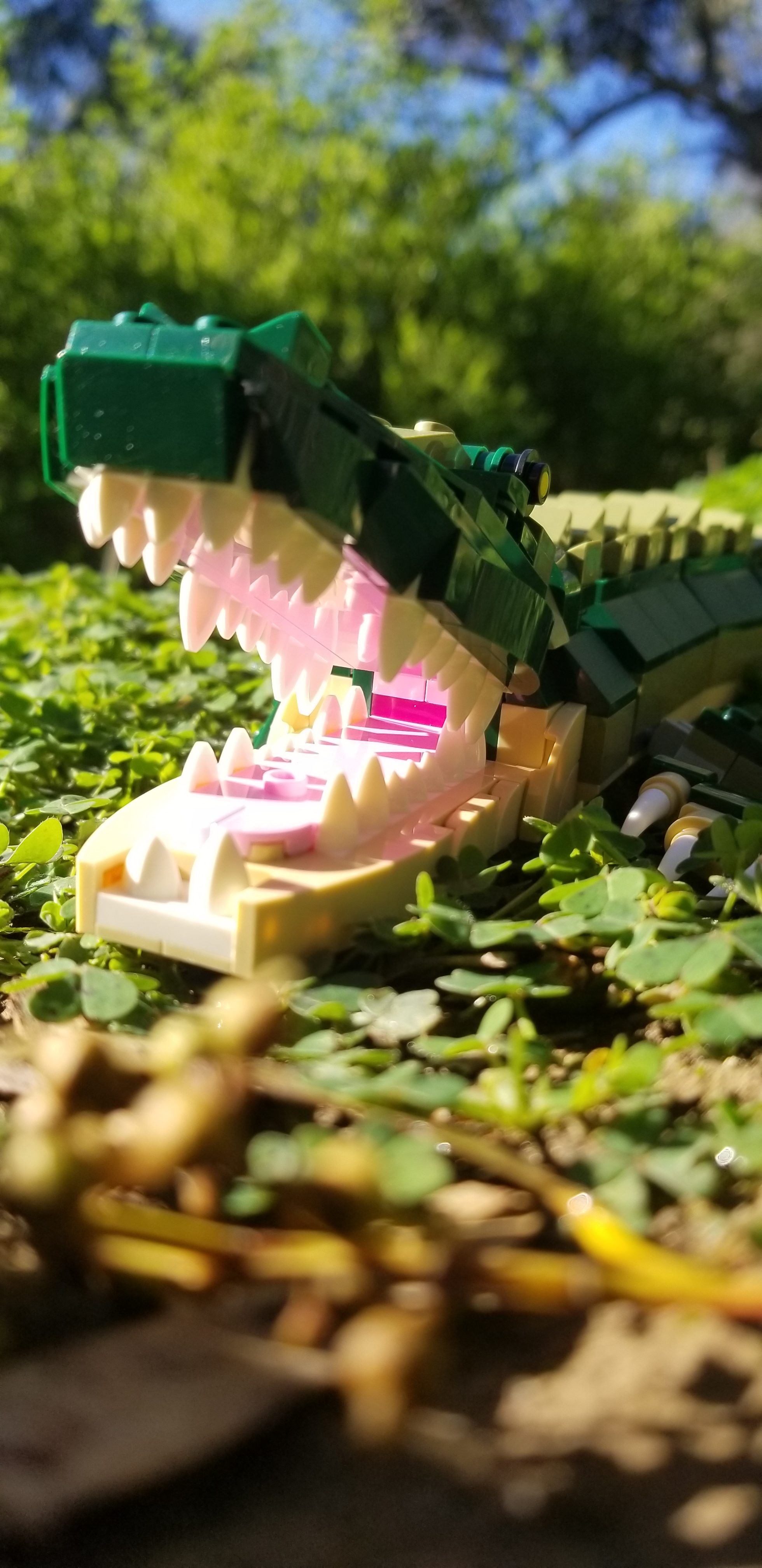 Review: LEGO 31121 Creator 3-in-1 Crocodile (Guest Review) - Jay's Blog