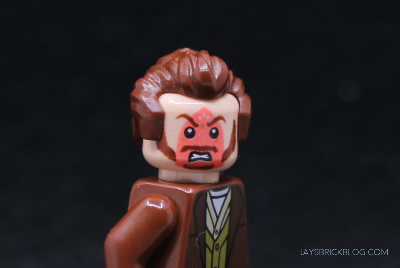 LEGO 21330 Home Alone Marv Iron Face