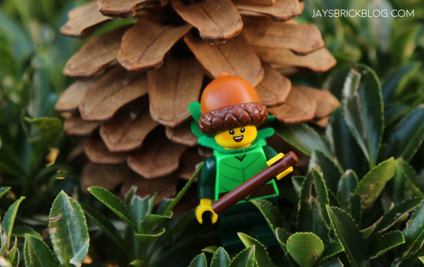 LEGO Minifigures Series 22 Forest Elf Photography