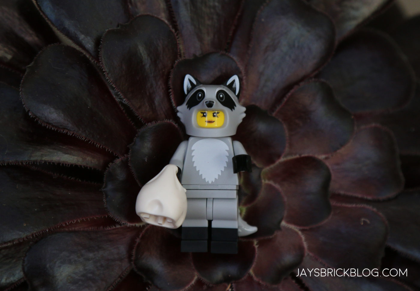 LEGO Minifigures Series 22 Raccoon Costume Fan Photography