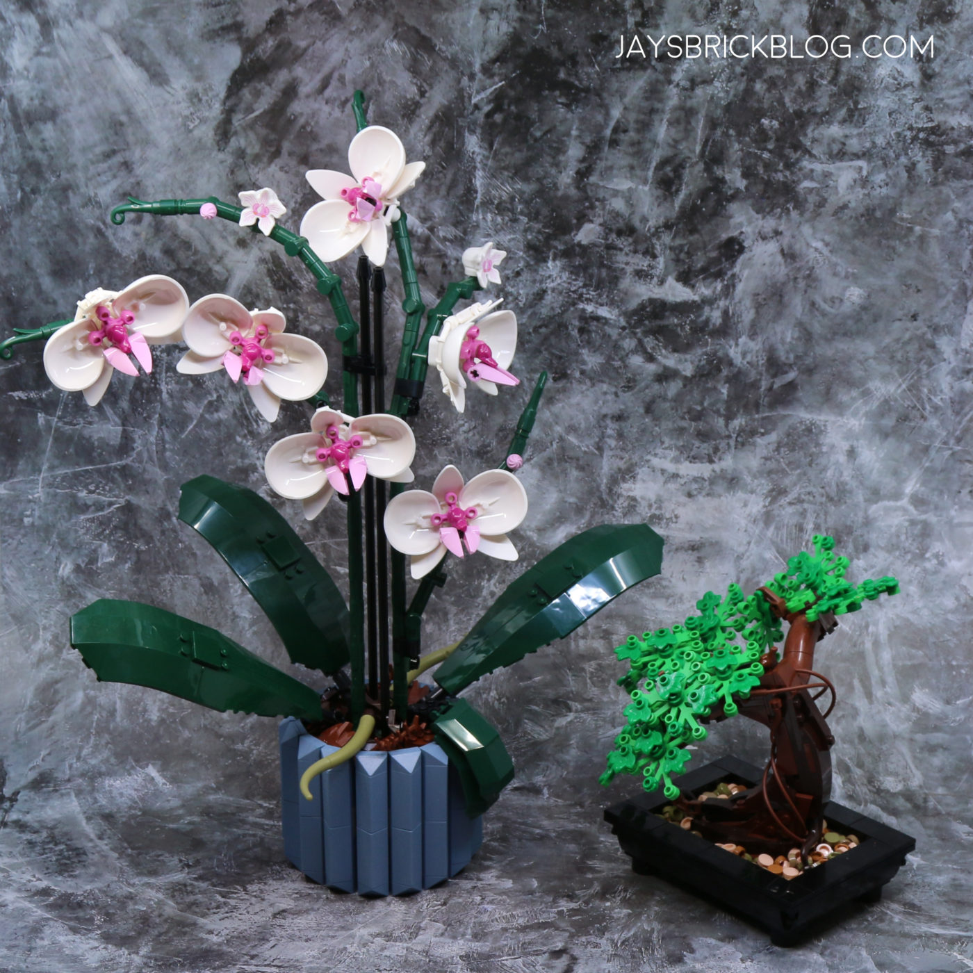 Review: LEGO 10311 Orchid (2022 Botanical Collection) - Jay's Brick Blog