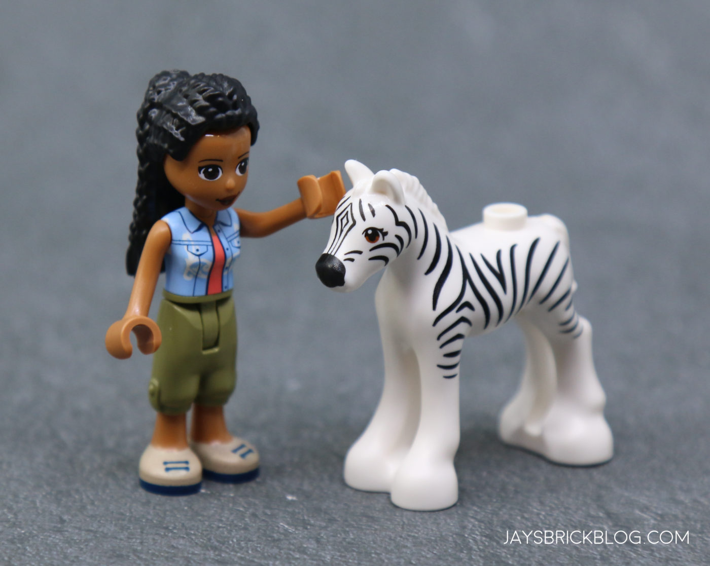 Mia\'s Jay\'s Rescue Wildlife Review: Brick Blog LEGO - 41717