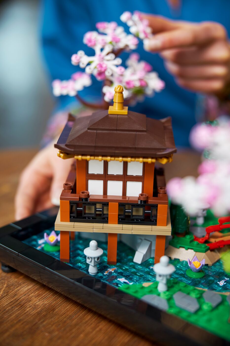 LEGO 10315 Tranquil Garden adds a touch of Japanese zen to your LEGO  collection - Jay's Brick Blog