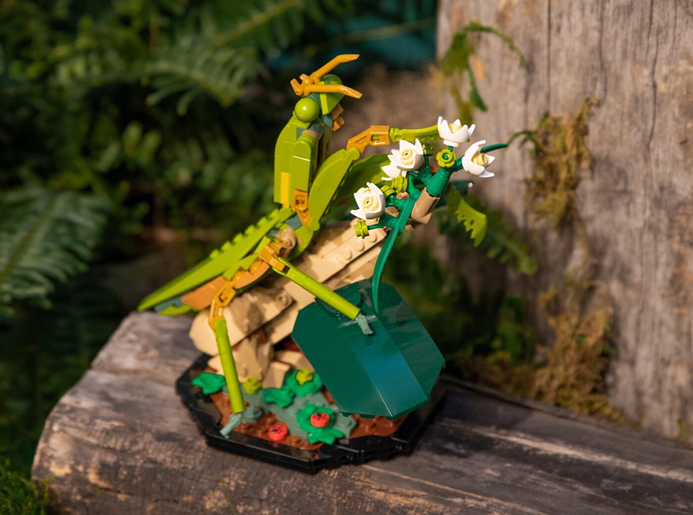 21342 LEGO Insect Collection Chinese Mantis Photo Shoot