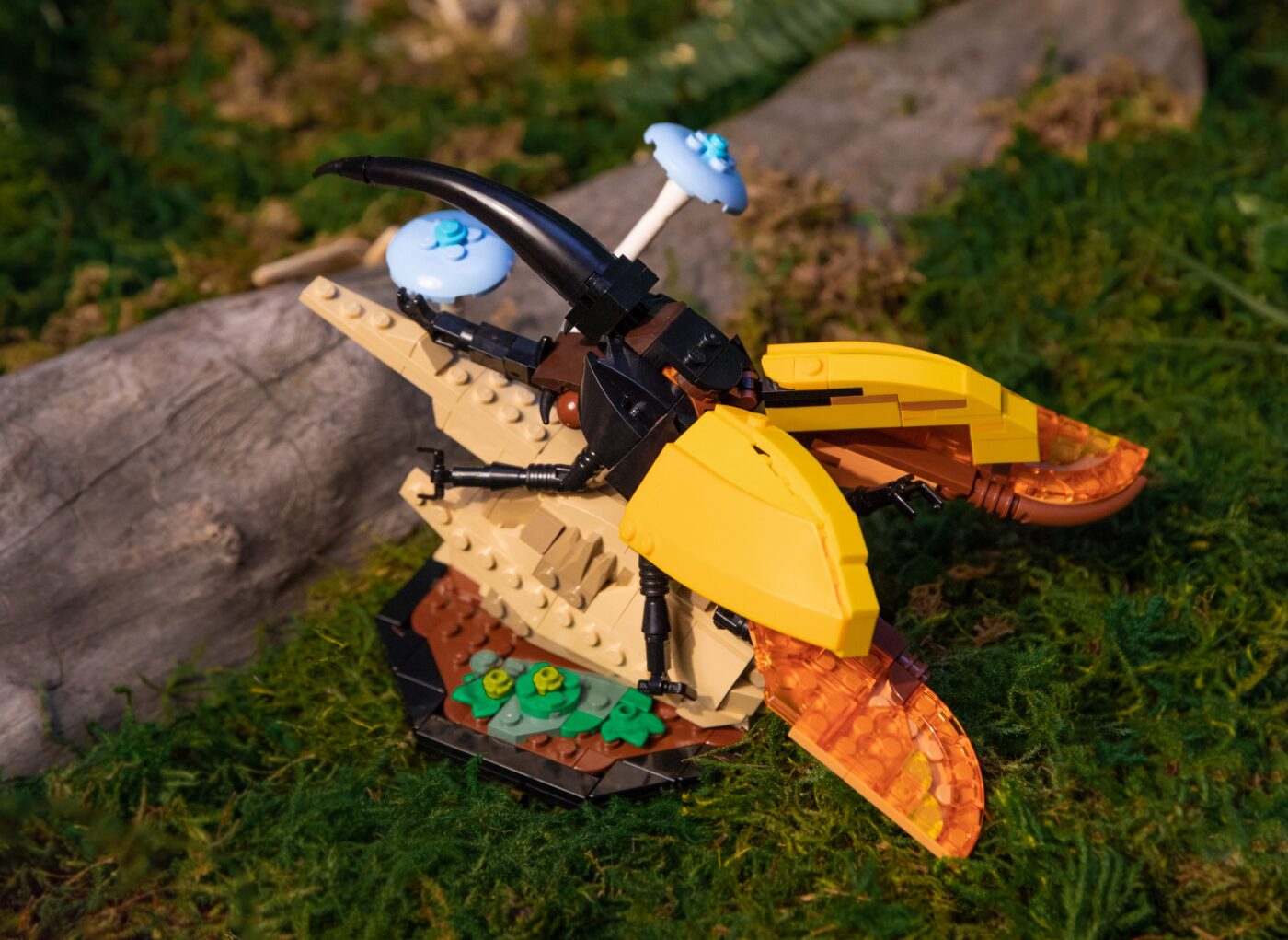 21342 LEGO Insect Collection Hercules Beetle Photo Shoot