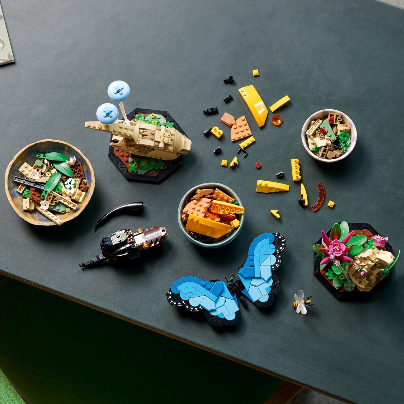 21342 LEGO Insect Collection Lifestyle Build