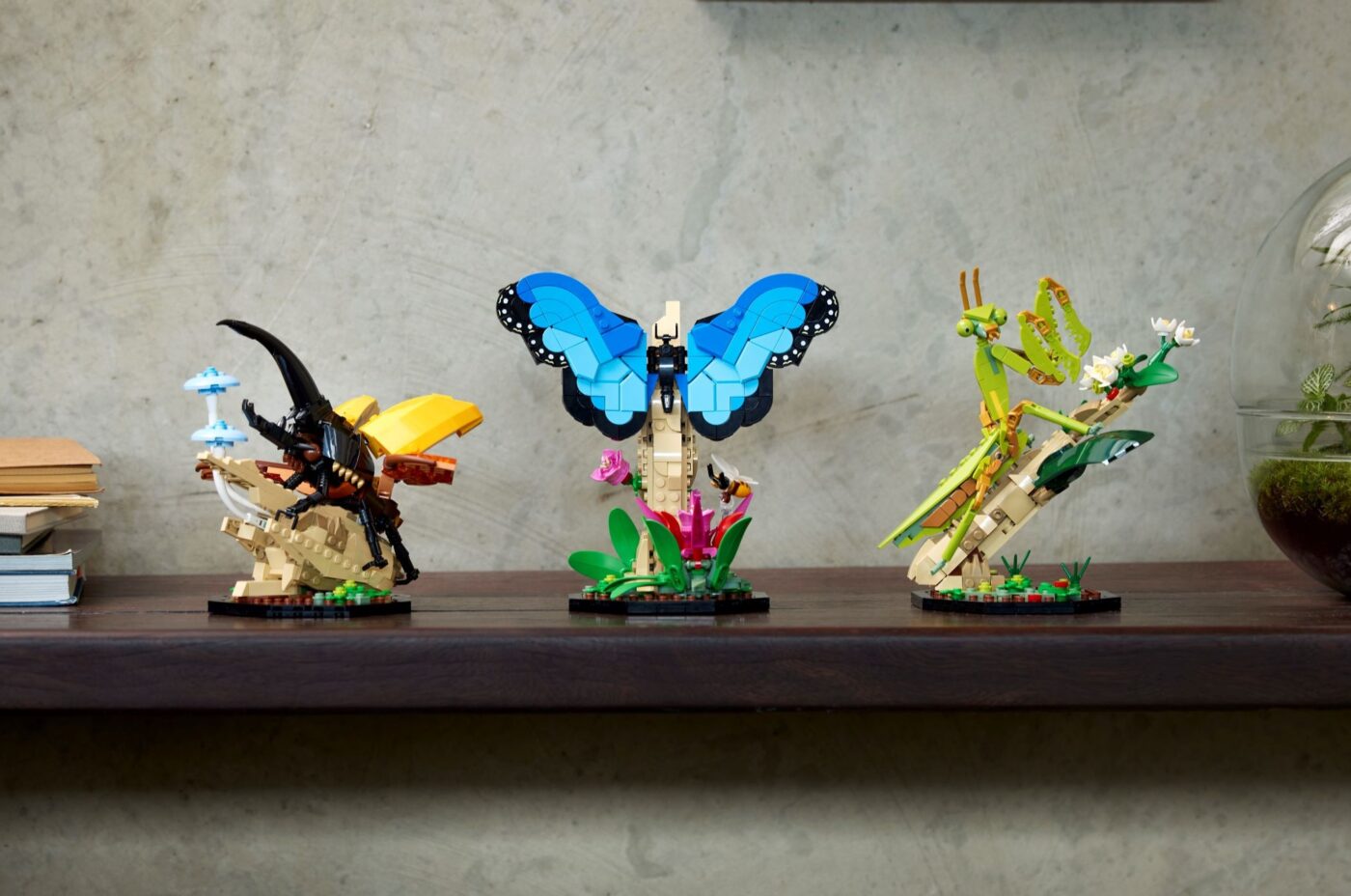 21342 LEGO Insect Collection Lifestyle Display
