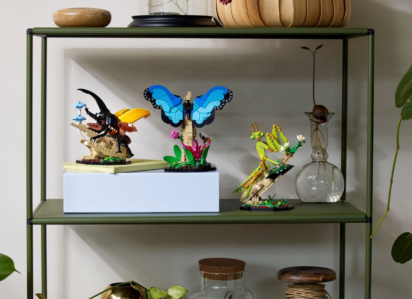 21342 LEGO Insect Collection Lifestyle Display Shelf