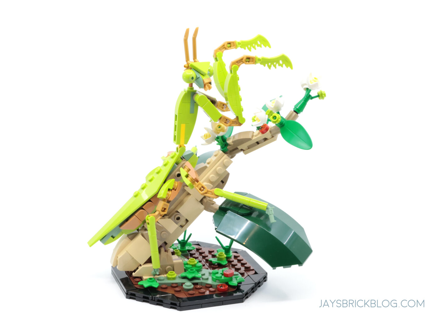 LEGO 21342 The Insect Collection Chinese Mantis