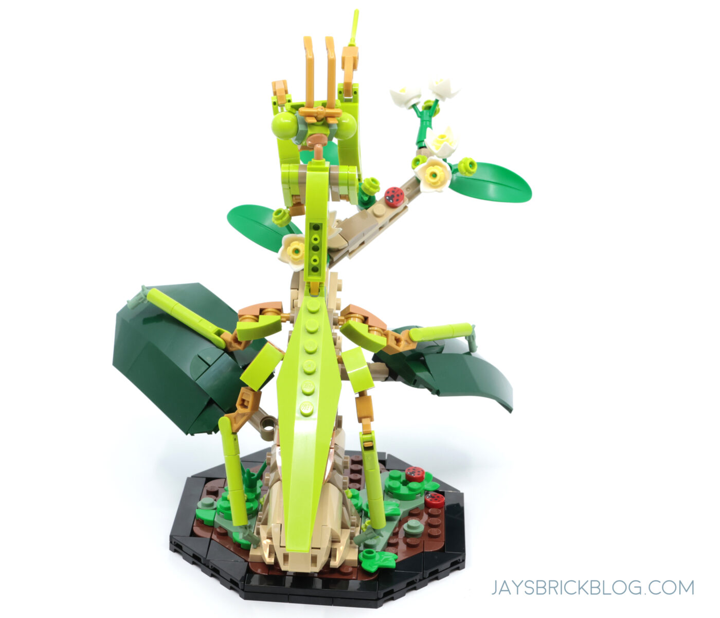 LEGO 21342 The Insect Collection Chinese Mantis Back