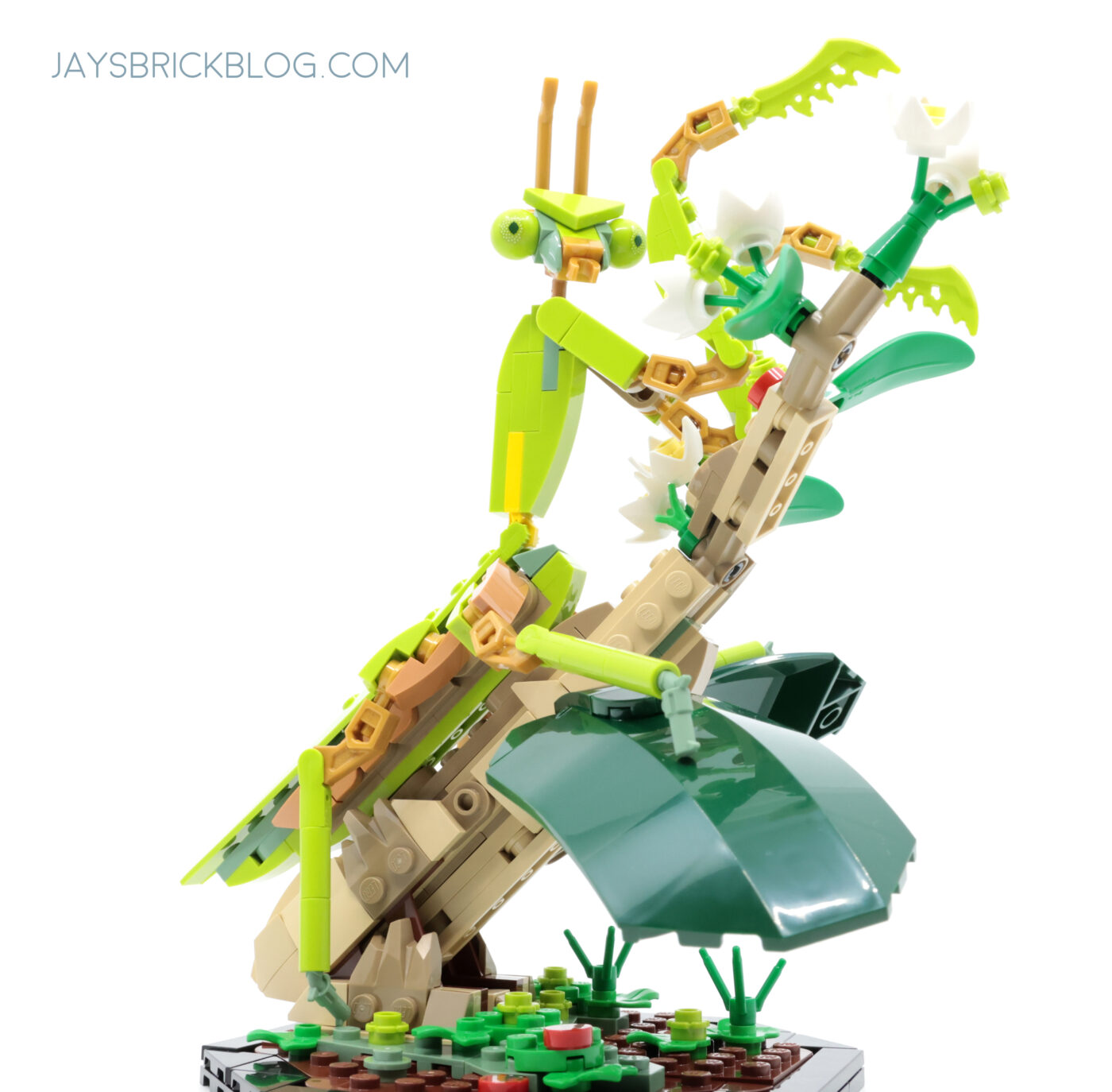 LEGO 21342 The Insect Collection Chinese Mantis Pose
