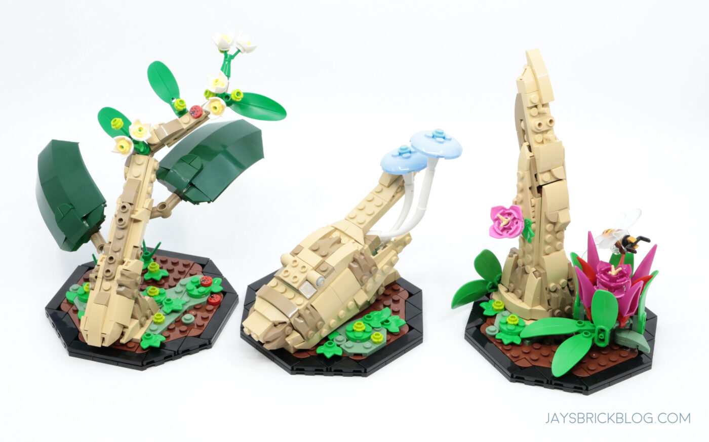 LEGO 21342 The Insect Collection Diorama Bases