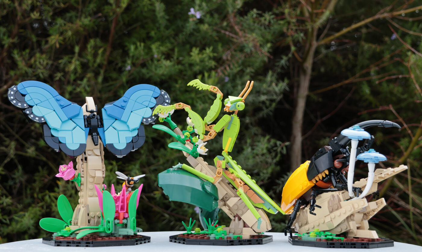 LEGO 21342 The Insect Collection Feature