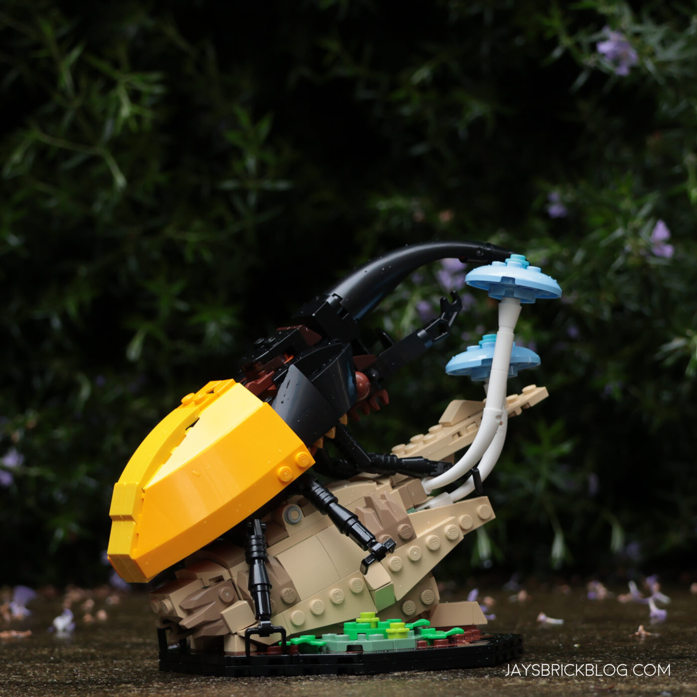 LEGO 21342 The Insect Collection Hercules Beetle Photography