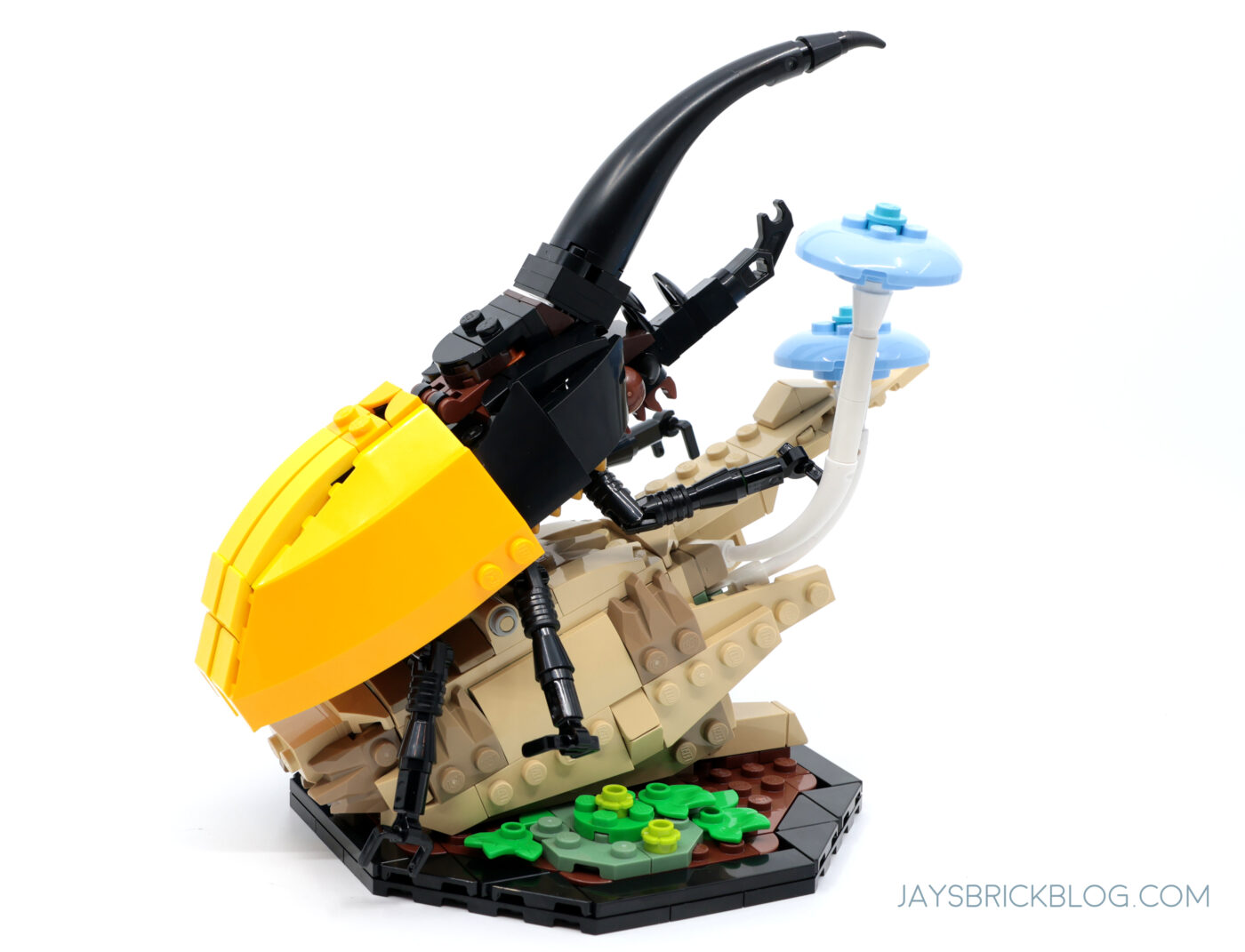 LEGO 21342 The Insect Collection Hercules Beetle Side