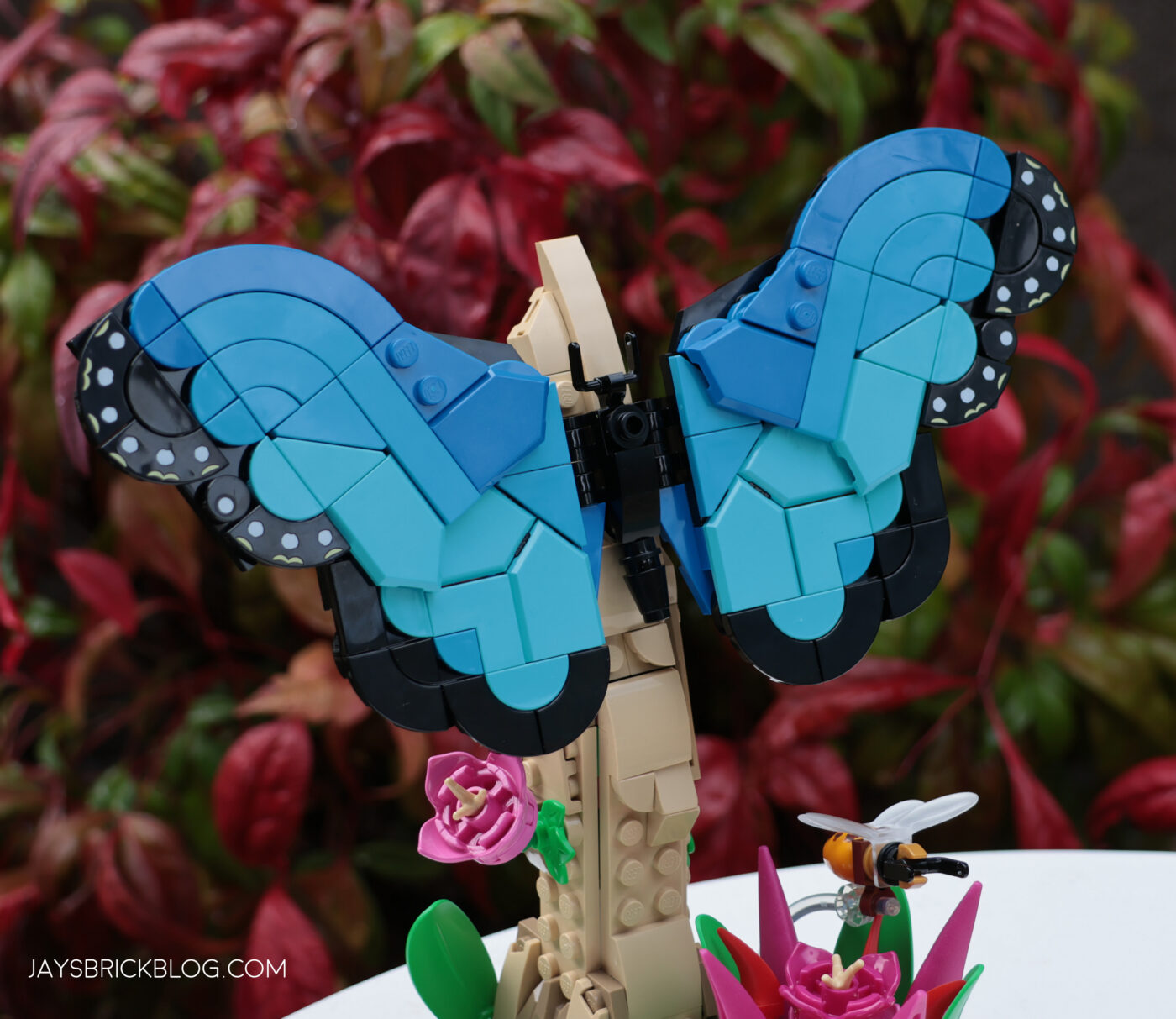 LEGO 21342 The Insect Collection Morpho Butterfly Photography