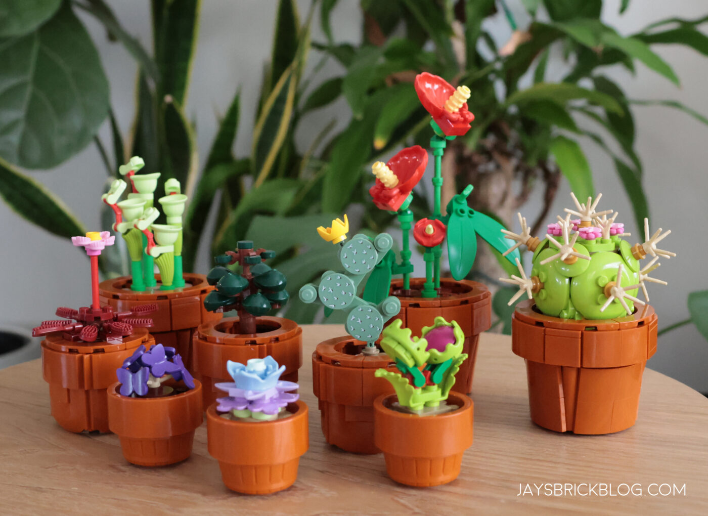 Review: LEGO 10329 Tiny Plants - Jay's Brick Blog