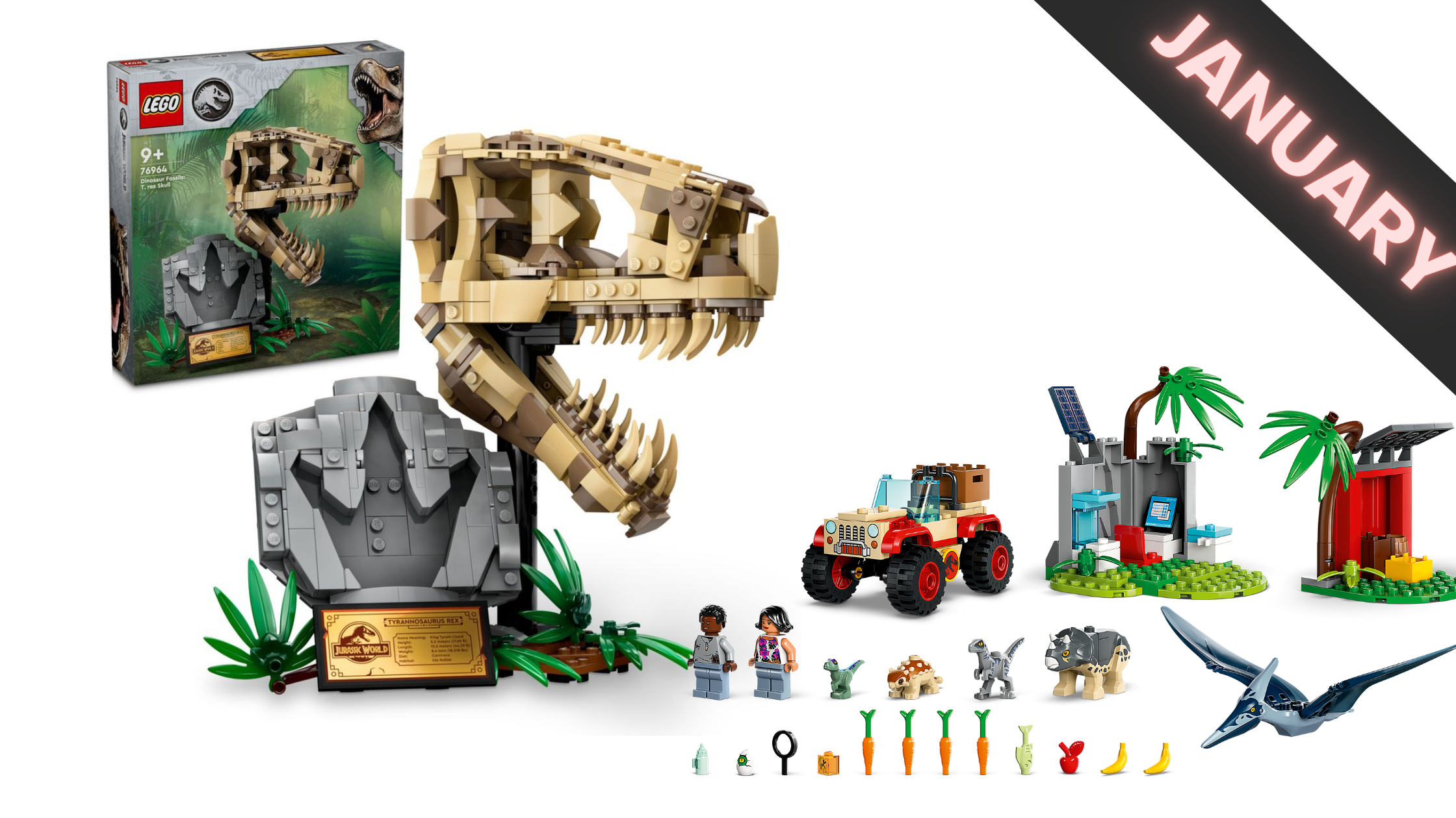 A buildable T. Rex Skull is part of the January 2024 LEGO Jurassic